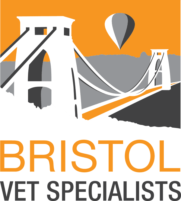 Bristol Vet Specialists