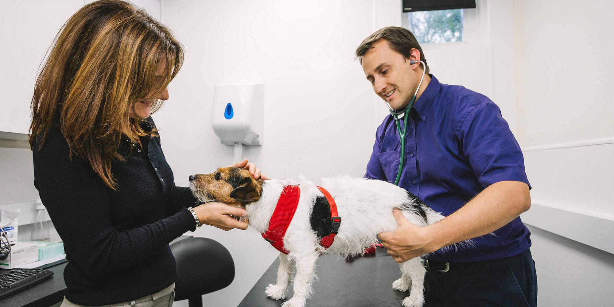 Our Veterinary Specialists Services Bristol Vet Specialists